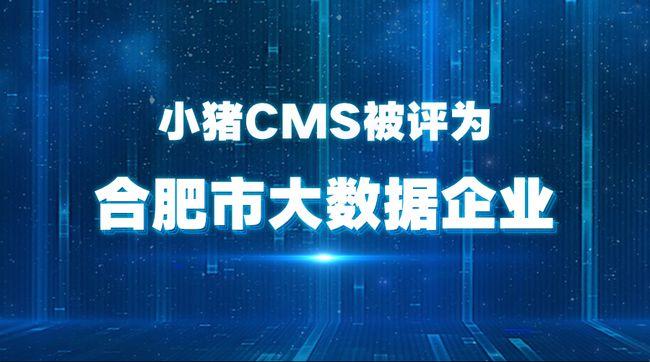 小豬cms被評為合肥市大數據企業